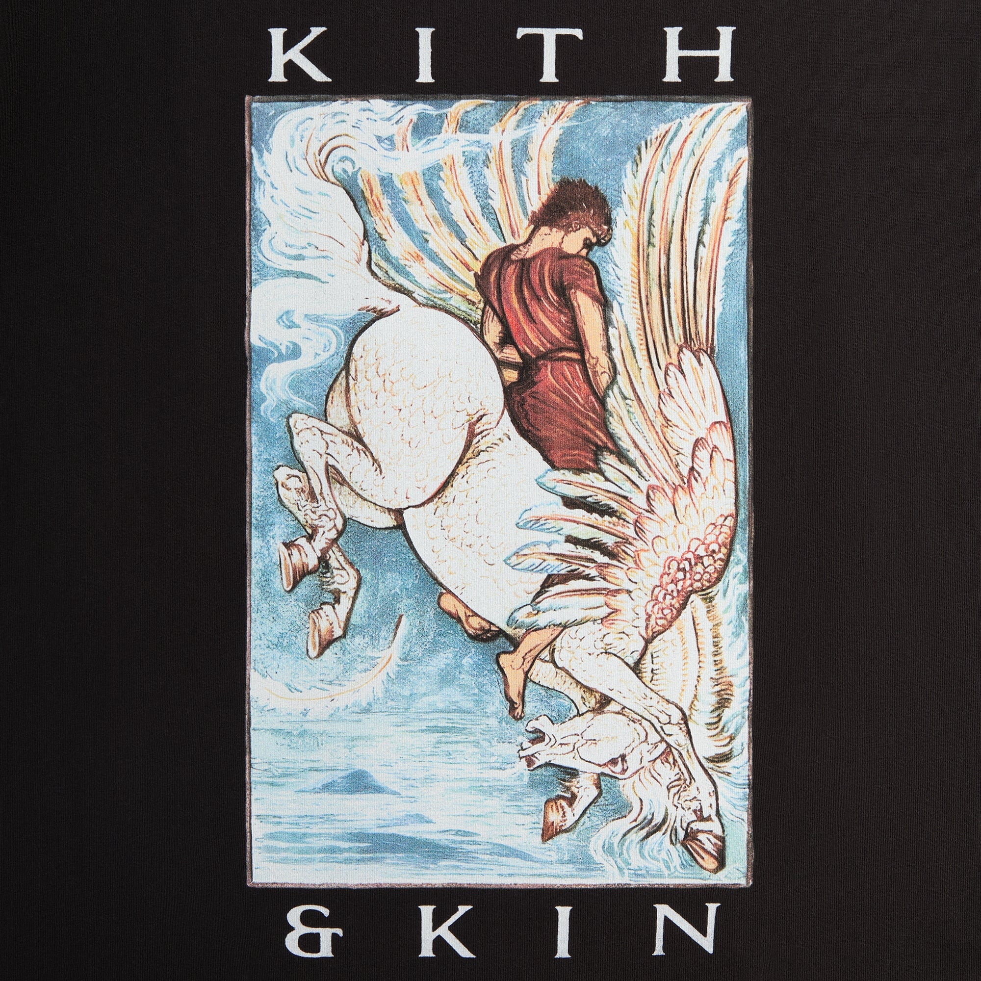 Kith & Kin Pegasus Tee  - Black - Image 4
